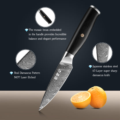 Japanese Damascus Paring Knife VG10 Damascus Steel Ultra Sharp 67 Layers Kitchen Paring Knife with Ergonomic Pakkawood Handle - Unique Gift for Men & Women (3.5 Inch Paring Knife)